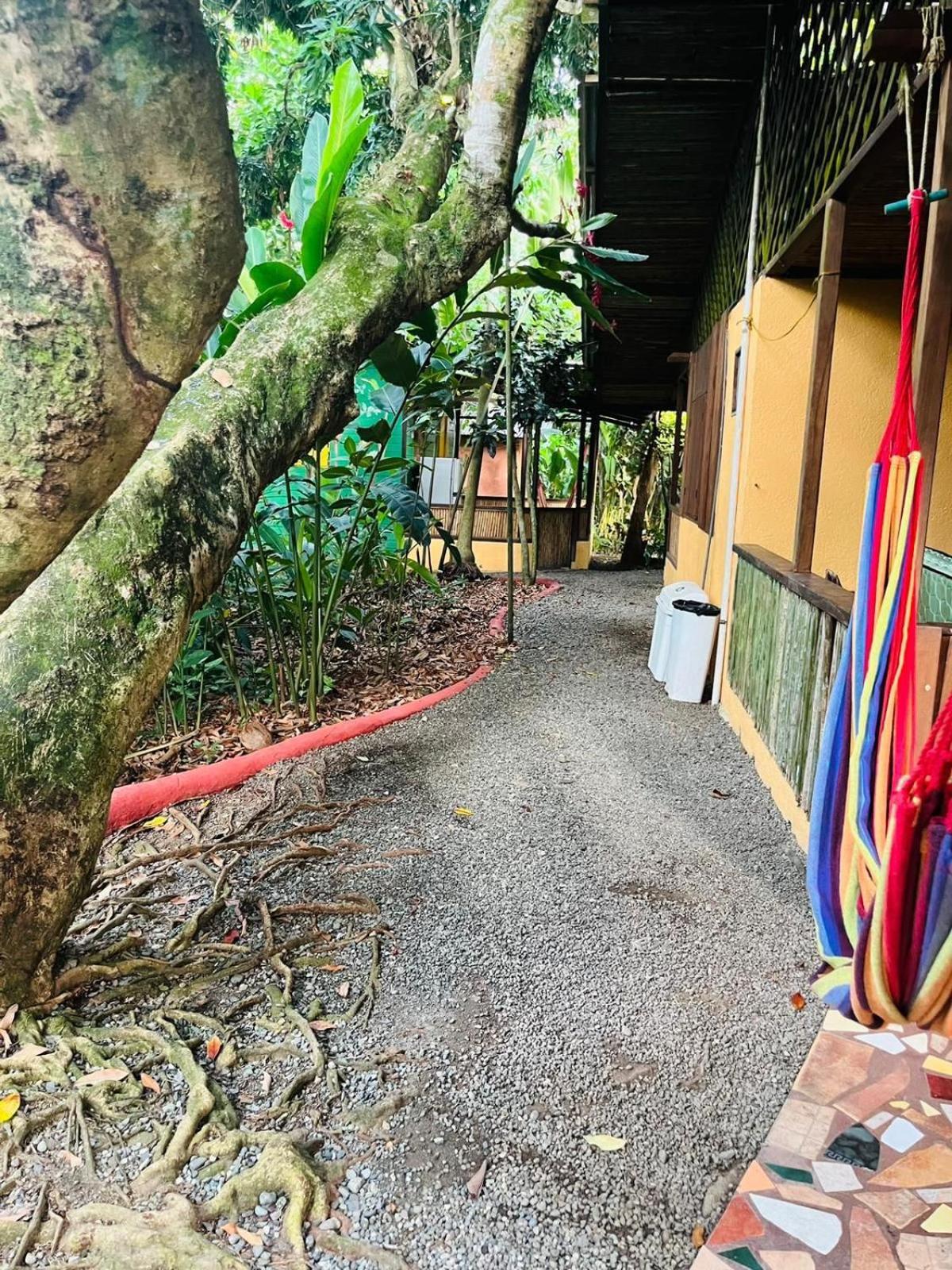 La Casa De Rolando Villa Puerto Viejo de Talamanca Bagian luar foto