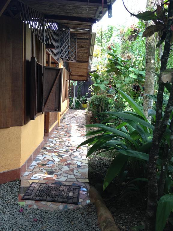 La Casa De Rolando Villa Puerto Viejo de Talamanca Bagian luar foto