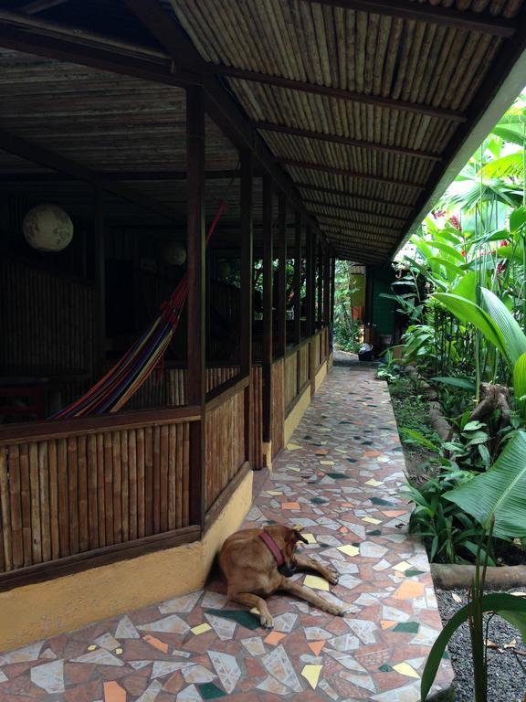 La Casa De Rolando Villa Puerto Viejo de Talamanca Bagian luar foto