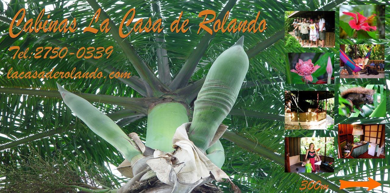 La Casa De Rolando Villa Puerto Viejo de Talamanca Bagian luar foto